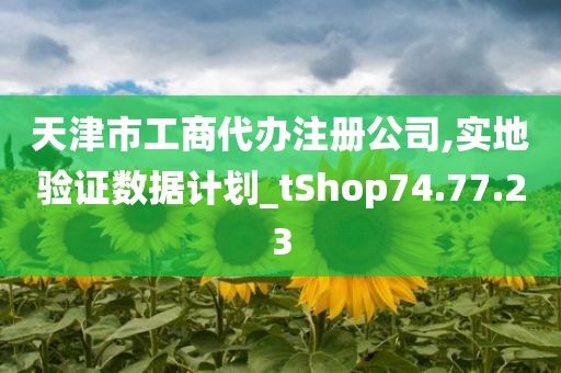 天津市工商代办注册公司,实地验证数据计划_tShop74.77.23