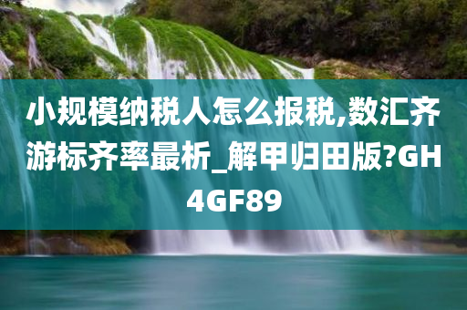 小规模纳税人怎么报税,数汇齐游标齐率最析_解甲归田版?GH4GF89