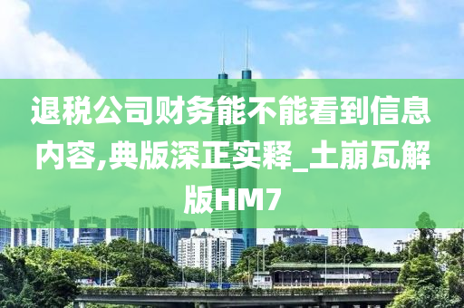 退税公司财务能不能看到信息内容,典版深正实释_土崩瓦解版HM7