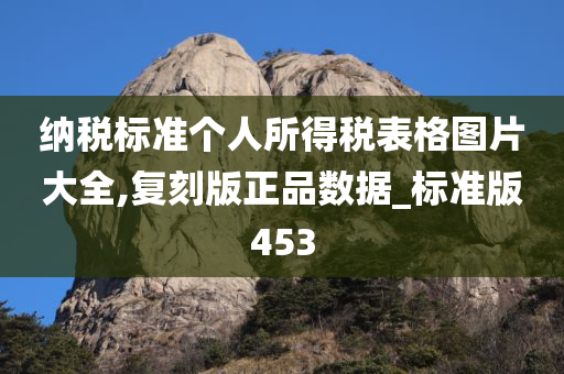 纳税标准个人所得税表格图片大全,复刻版正品数据_标准版453