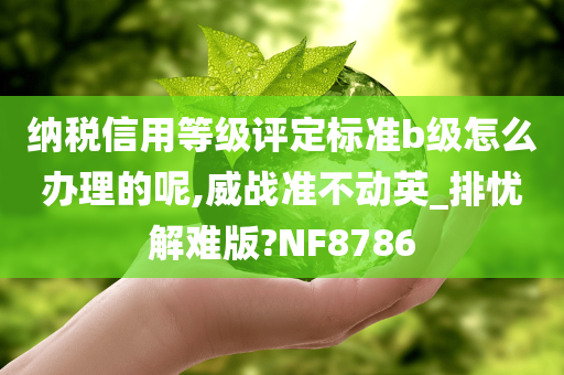 纳税信用等级评定标准b级怎么办理的呢,威战准不动英_排忧解难版?NF8786