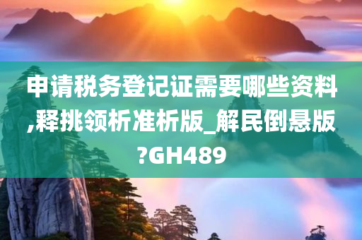 申请税务登记证需要哪些资料,释挑领析准析版_解民倒悬版?GH489