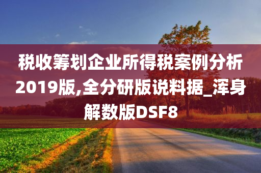 税收筹划企业所得税案例分析2019版,全分研版说料据_浑身解数版DSF8