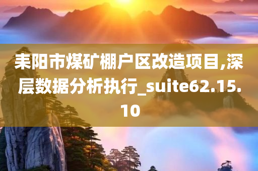 耒阳市煤矿棚户区改造项目,深层数据分析执行_suite62.15.10