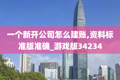 一个新开公司怎么建账,资料标准版准确_游戏版34234