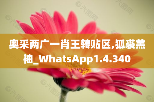 奥采两广一肖王转贴区,狐裘羔袖_WhatsApp1.4.340