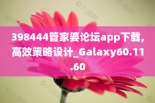 398444管家婆论坛app下载,高效策略设计_Galaxy60.11.60