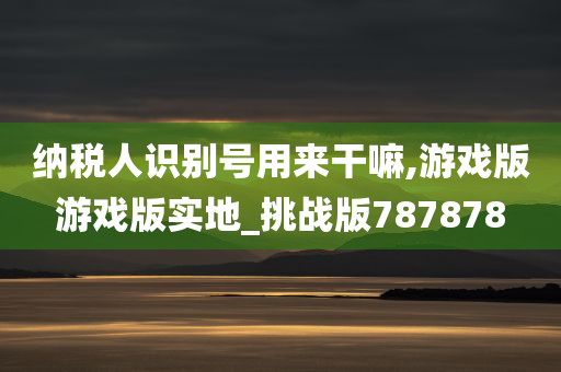 纳税人识别号用来干嘛,游戏版游戏版实地_挑战版787878