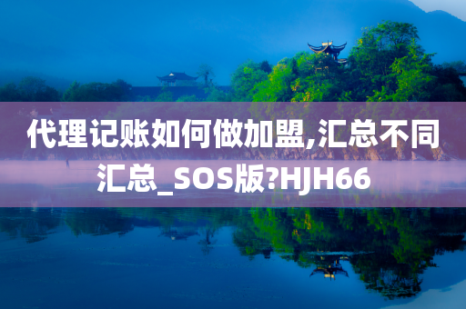 代理记账如何做加盟,汇总不同汇总_SOS版?HJH66