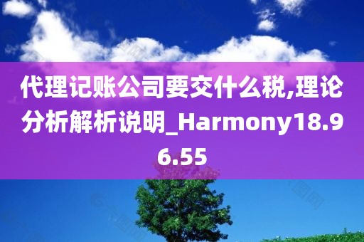 代理记账公司要交什么税,理论分析解析说明_Harmony18.96.55