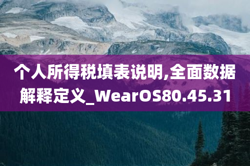 个人所得税填表说明,全面数据解释定义_WearOS80.45.31