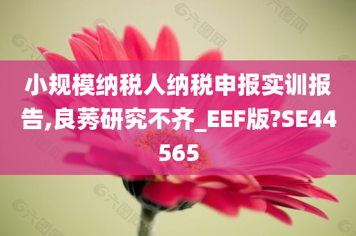 小规模纳税人纳税申报实训报告,良莠研究不齐_EEF版?SE44565