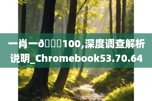 一肖一🐎100,深度调查解析说明_Chromebook53.70.64