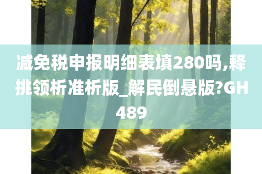 减免税申报明细表填280吗,释挑领析准析版_解民倒悬版?GH489