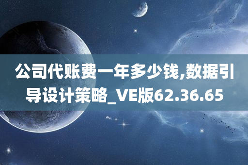 公司代账费一年多少钱,数据引导设计策略_VE版62.36.65