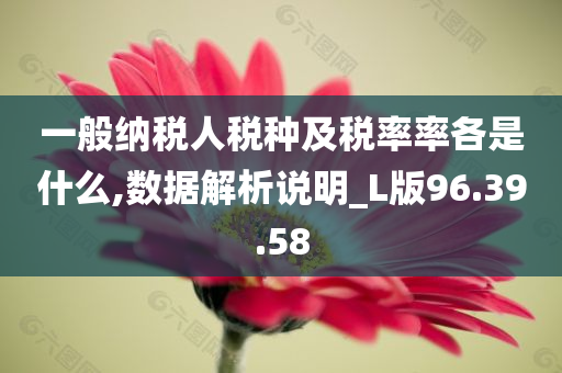 一般纳税人税种及税率率各是什么,数据解析说明_L版96.39.58