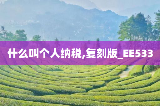 什么叫个人纳税,复刻版_EE533