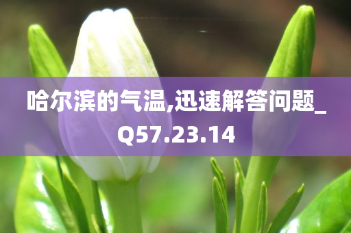 哈尔滨的气温,迅速解答问题_Q57.23.14