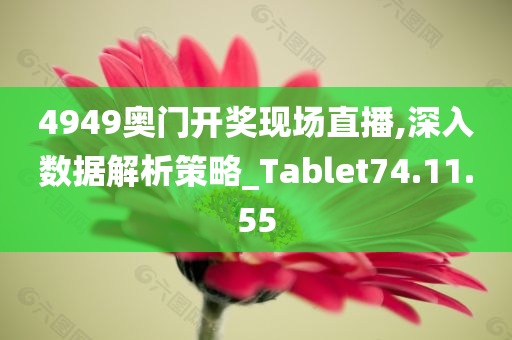 4949奥门开奖现场直播,深入数据解析策略_Tablet74.11.55