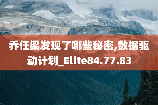 乔任梁发现了哪些秘密,数据驱动计划_Elite84.77.83