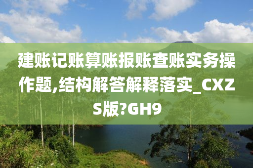 建账记账算账报账查账实务操作题,结构解答解释落实_CXZS版?GH9