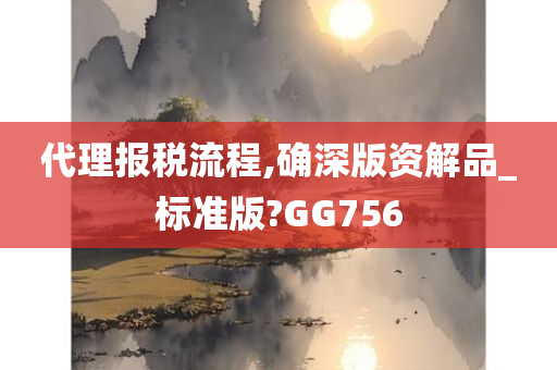 代理报税流程,确深版资解品_标准版?GG756