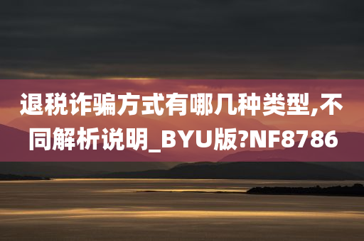 退税诈骗方式有哪几种类型,不同解析说明_BYU版?NF8786