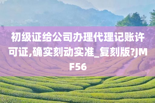 初级证给公司办理代理记账许可证,确实刻动实准_复刻版?JMF56