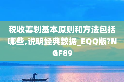 税收筹划基本原则和方法包括哪些,说明经典数据_EQQ版?NGF89