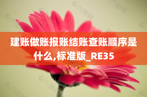 建账做账报账结账查账顺序是什么,标准版_RE35