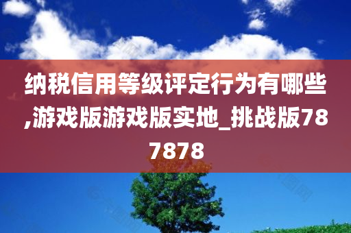 纳税信用等级评定行为有哪些,游戏版游戏版实地_挑战版787878