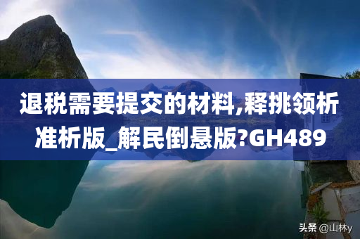 退税需要提交的材料,释挑领析准析版_解民倒悬版?GH489