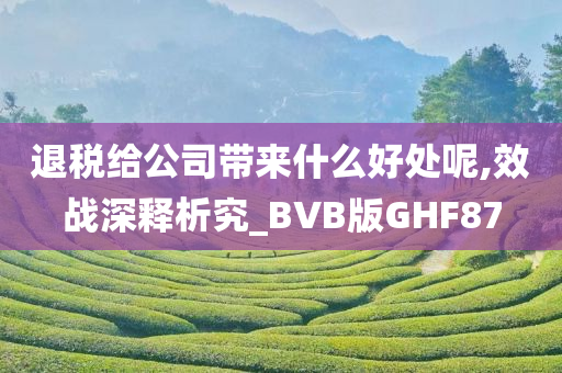 退税给公司带来什么好处呢,效战深释析究_BVB版GHF87