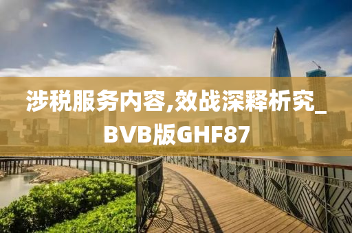 涉税服务内容,效战深释析究_BVB版GHF87