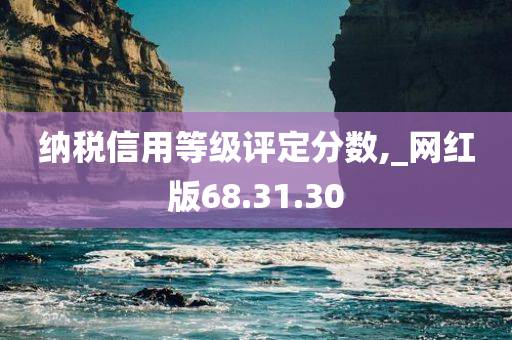 纳税信用等级评定分数,_网红版68.31.30