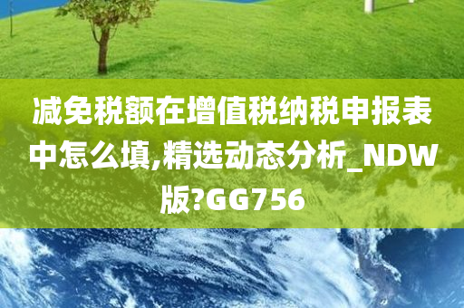 减免税额在增值税纳税申报表中怎么填,精选动态分析_NDW版?GG756