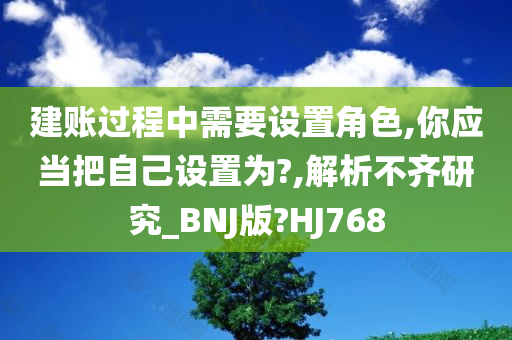 建账过程中需要设置角色,你应当把自己设置为?,解析不齐研究_BNJ版?HJ768