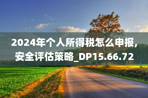 2024年个人所得税怎么申报,安全评估策略_DP15.66.72