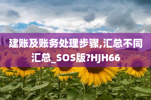 建账及账务处理步骤,汇总不同汇总_SOS版?HJH66