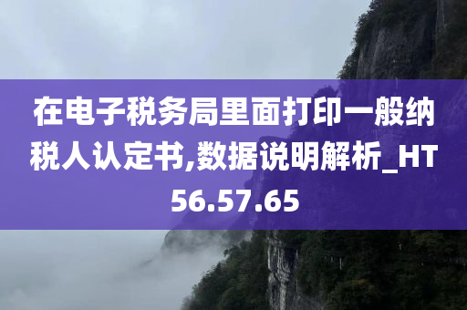 在电子税务局里面打印一般纳税人认定书,数据说明解析_HT56.57.65