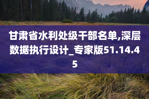 甘肃省水利处级干部名单,深层数据执行设计_专家版51.14.45