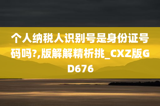 个人纳税人识别号是身份证号码吗?,版解解精析挑_CXZ版GD676