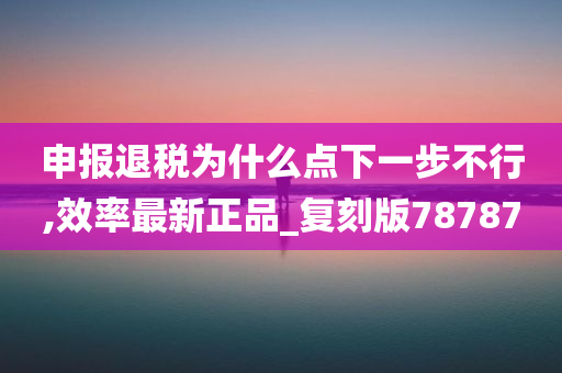 申报退税为什么点下一步不行,效率最新正品_复刻版78787