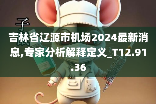 吉林省辽源市机场2024最新消息,专家分析解释定义_T12.91.36