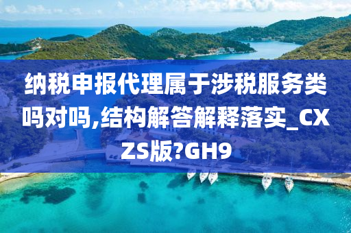 纳税申报代理属于涉税服务类吗对吗,结构解答解释落实_CXZS版?GH9