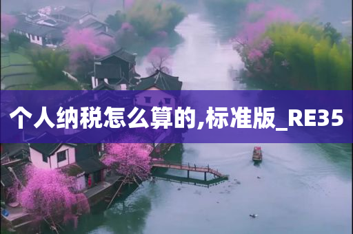 个人纳税怎么算的,标准版_RE35