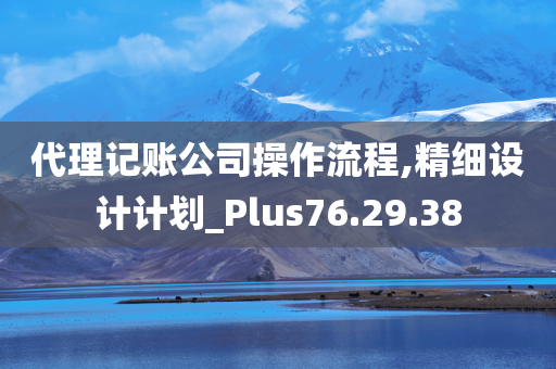 代理记账公司操作流程,精细设计计划_Plus76.29.38