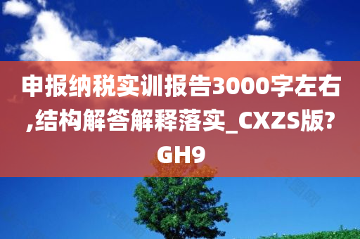 申报纳税实训报告3000字左右,结构解答解释落实_CXZS版?GH9