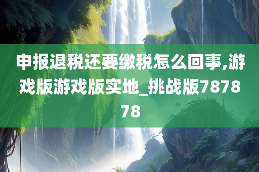 申报退税还要缴税怎么回事,游戏版游戏版实地_挑战版787878