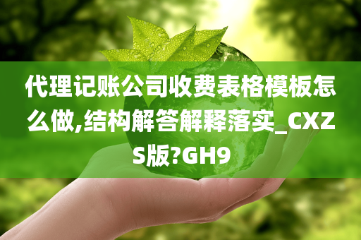 代理记账公司收费表格模板怎么做,结构解答解释落实_CXZS版?GH9